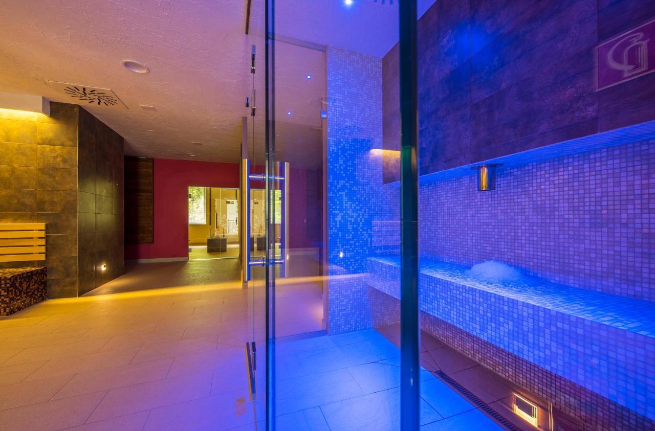 Wellness Penzion Smerdzonka - Kupele Pieniny Červený Kláštor Εξωτερικό φωτογραφία